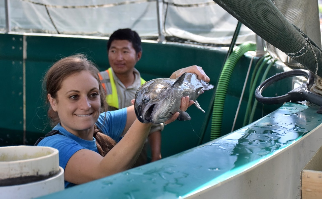 NOAA Fisheries employees helping out at the Salmon Conservation and Research Facility