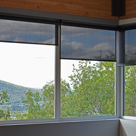 residential shades on living room windows