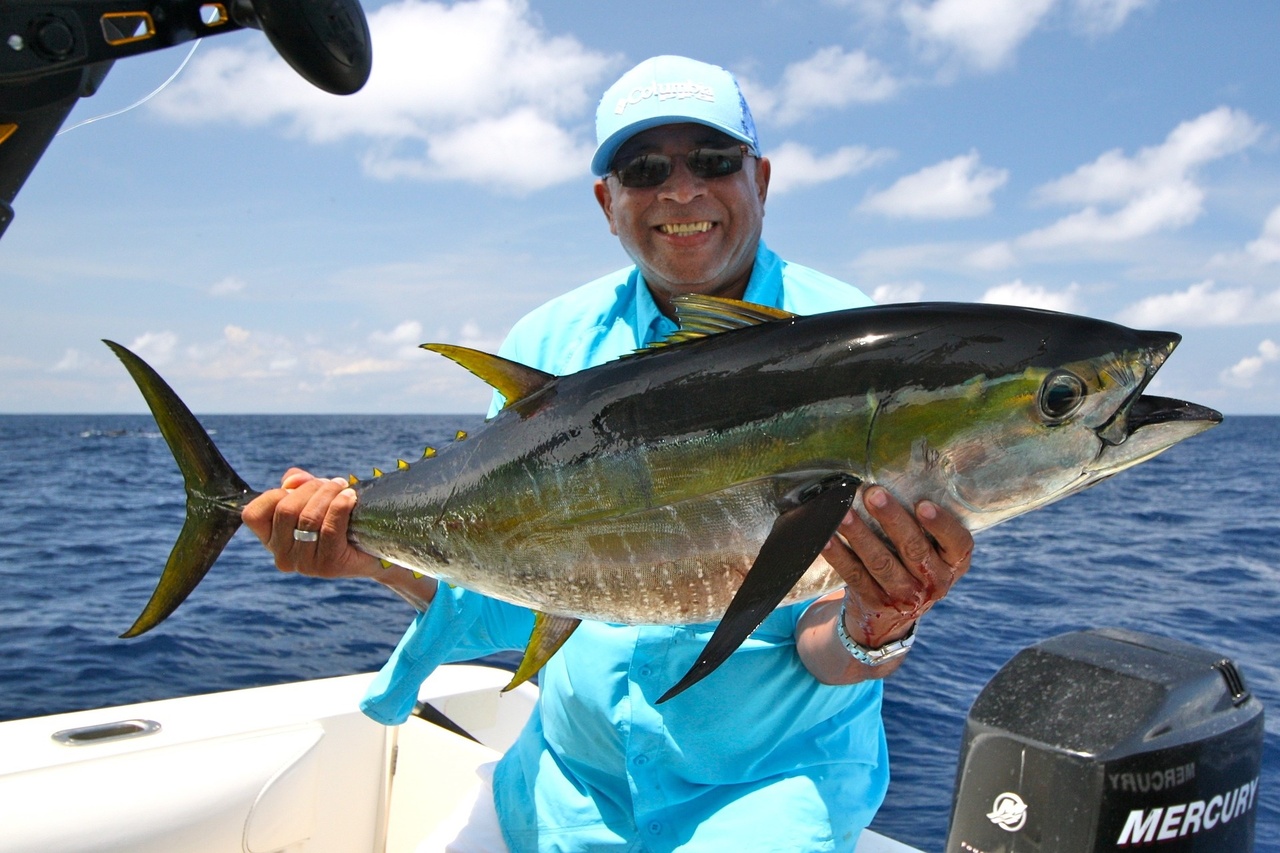 fishing-1469753_1920.jpg