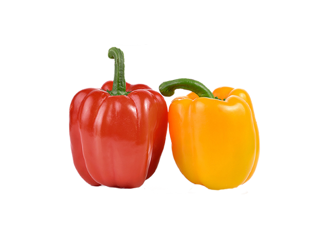 Flex Drawer Traulsen