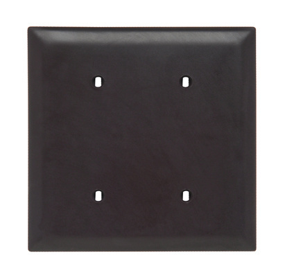 Discontinued | Blank Plate, Strap Mounted, Two Gang, Brown |SUB CUSTOM