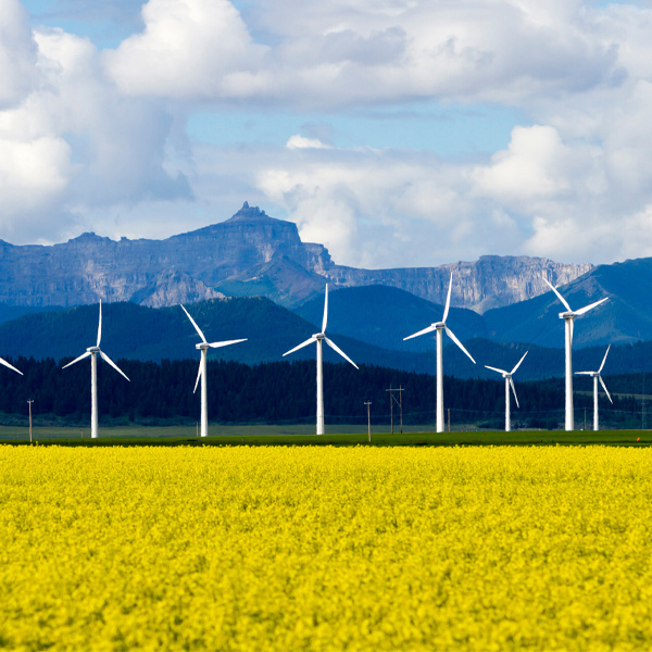 wind turbines against mountains and sky with yellow field in front
