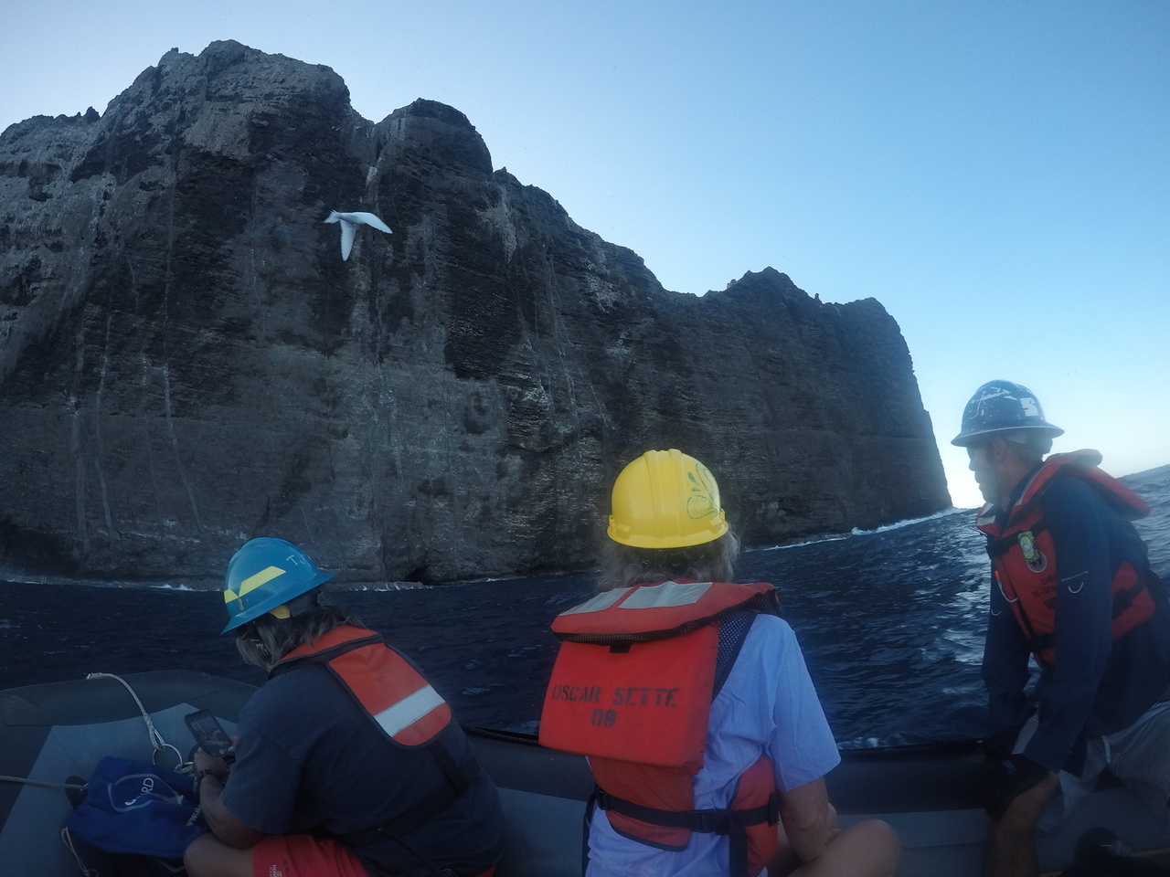 Researchers on a vessel conducting monk seal survey.