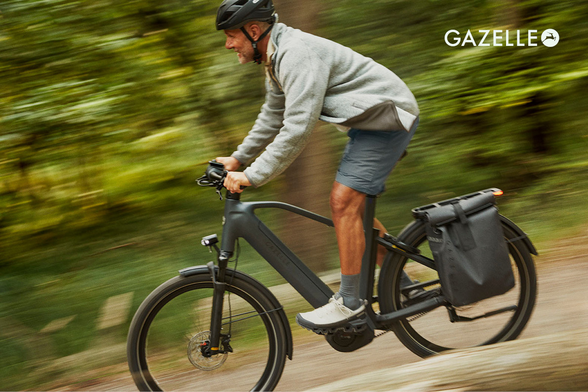 Gazelle Eclipse electric bike