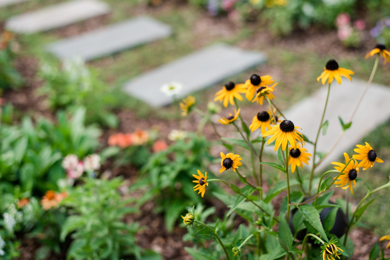 "The goal of this garden is to have things blooming all times of year with a glorious symphony of color mid-summer," says Clarke. "The goal of this garden is to have things blooming all times of year with a glorious symphony of color mid-summer," says Clarke.