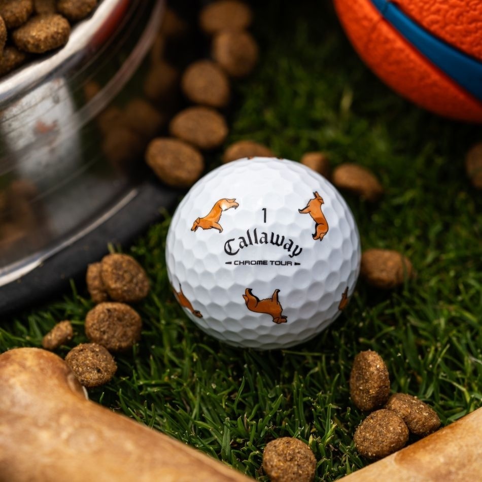 CHROME TOUR DOG GOLDEN RETRIEVERボール【数量限定】