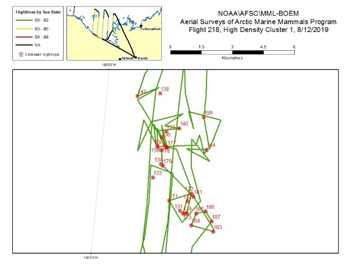 This map depicts a CAPs survey through an area of high-density bowhead sightings.
