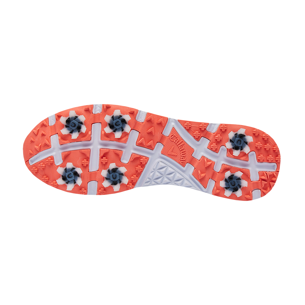 비스타 [고급 슈케이스 증정]