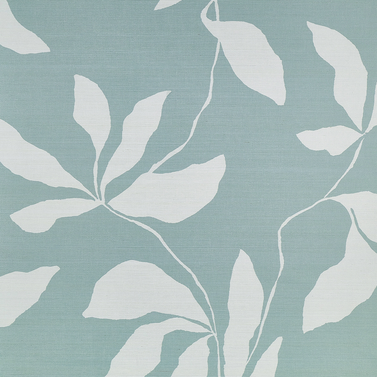 Desert Ivy gallery 2