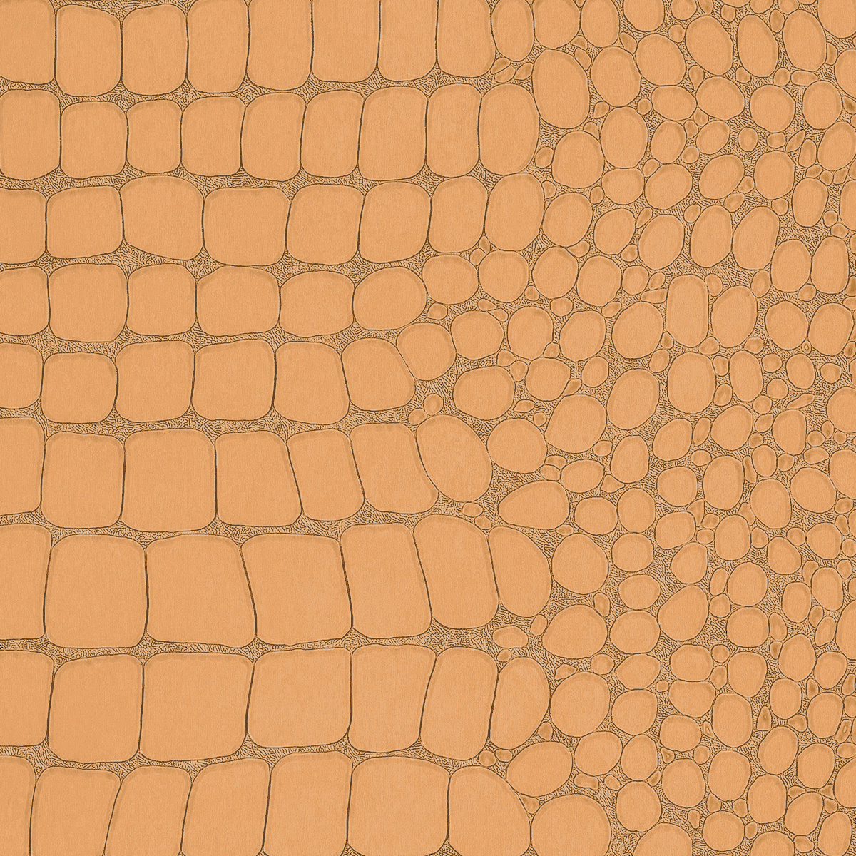Vinyl Crocodile Rock Caramel