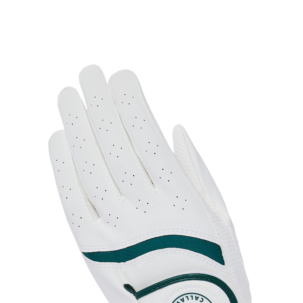 뉴 베어 우먼스