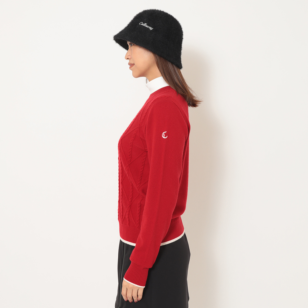 ビックアーガイルカシミヤニット (WOMENS)