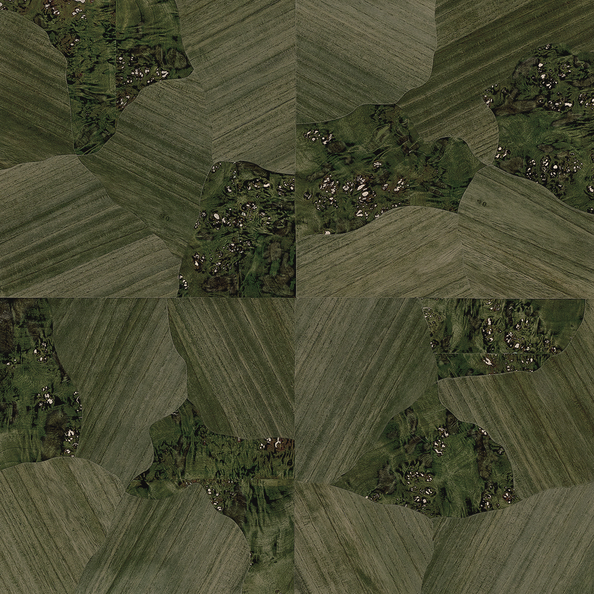 Pawleys Parquet Palmetto Shade