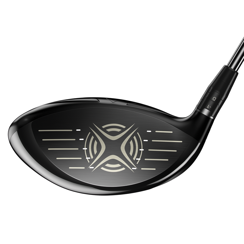 Big Bertha Fusion Heavy Drivers