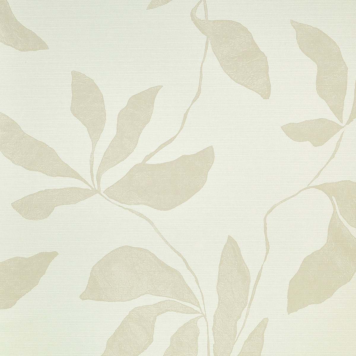 Desert Ivy gallery 2
