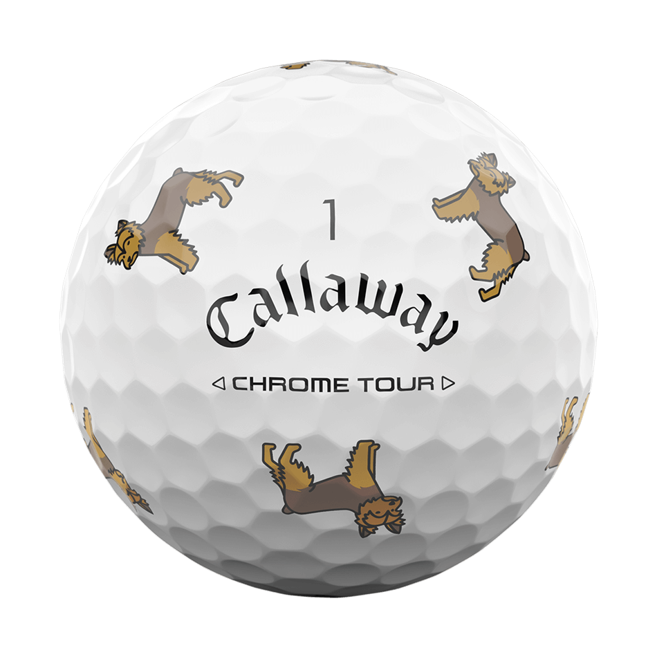 [온라인 단독] 크롬투어 트루비스 스몰독 에디션: 요키