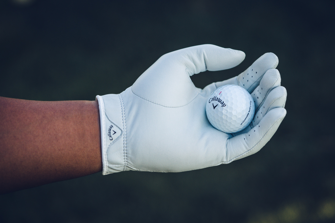 크롬소프트 X 22