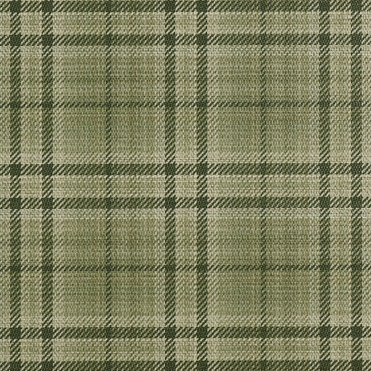 Caldwell Plaid Moss Shadow