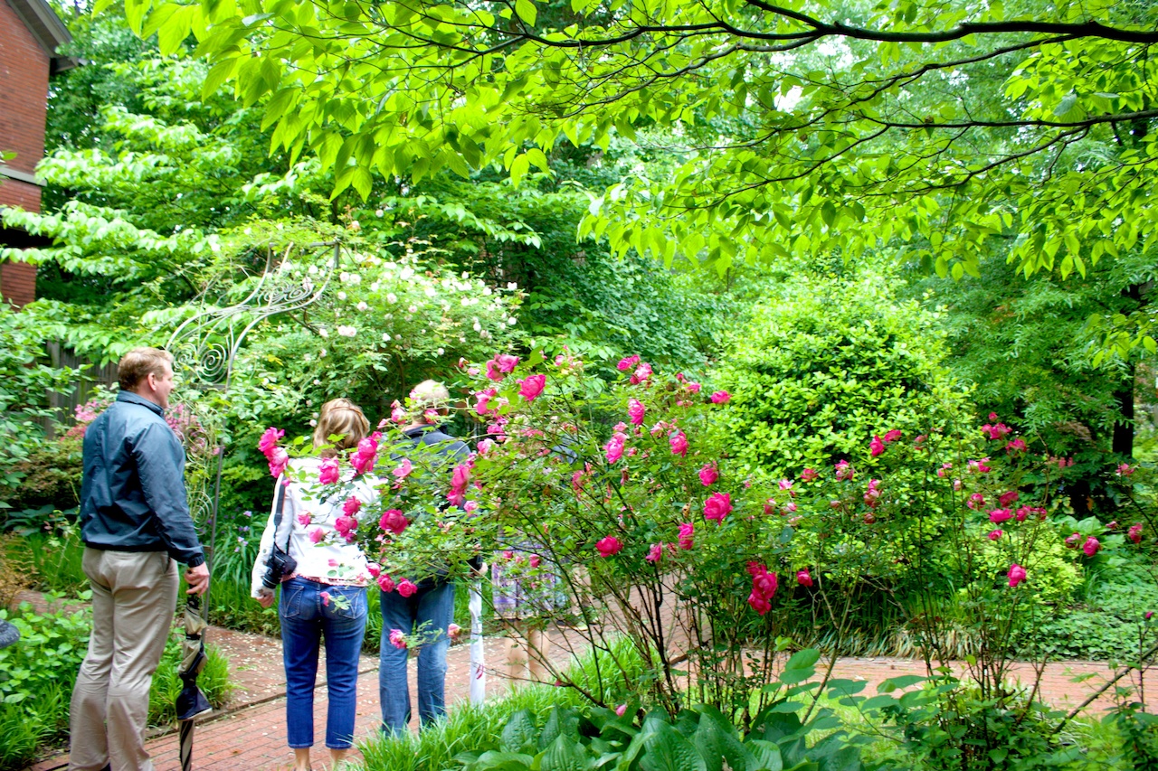 The secret gardens of Floral Terrace walking old louisville