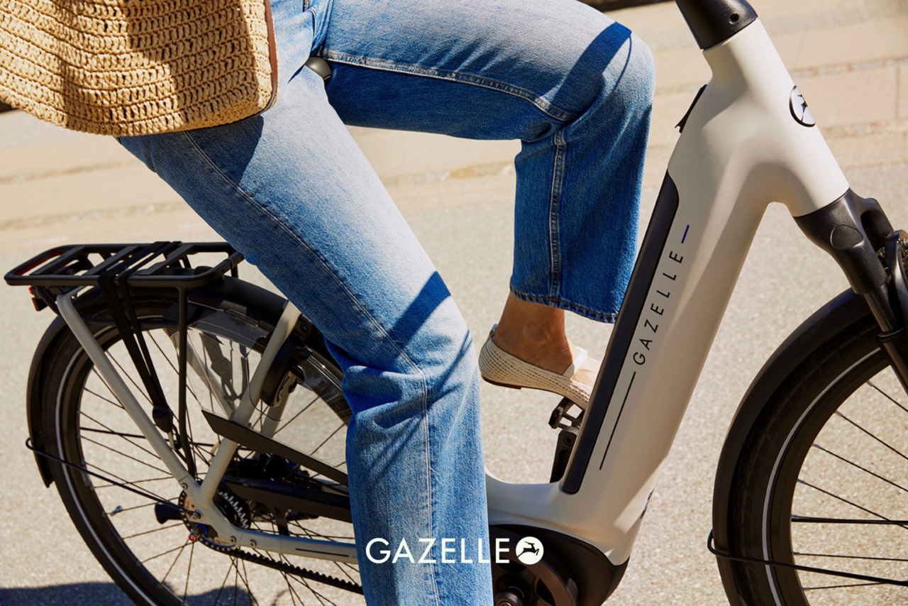 Gazelle Grenoble electric bike