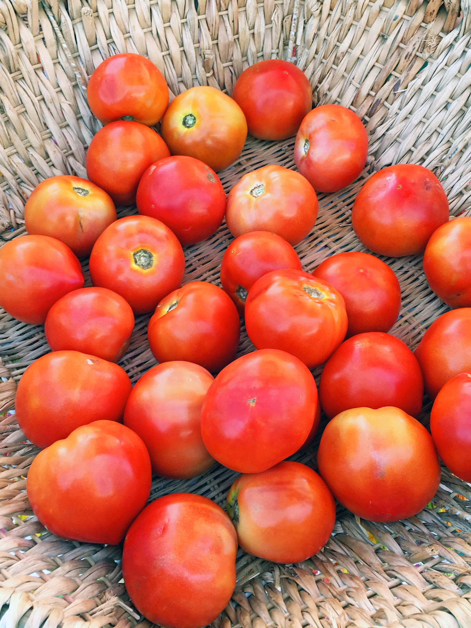 Alabama tomatoes at the Summit Market Alabama tomatoes at the Summit Market
