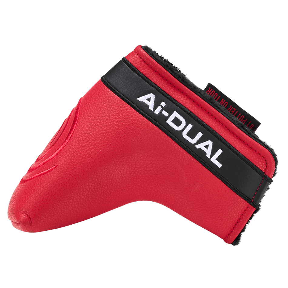 Ai-DUAL DWパター