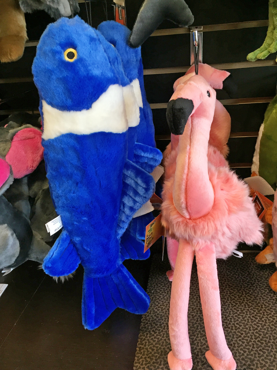 Summer fun for Fido! Dog toys -- July FINDS