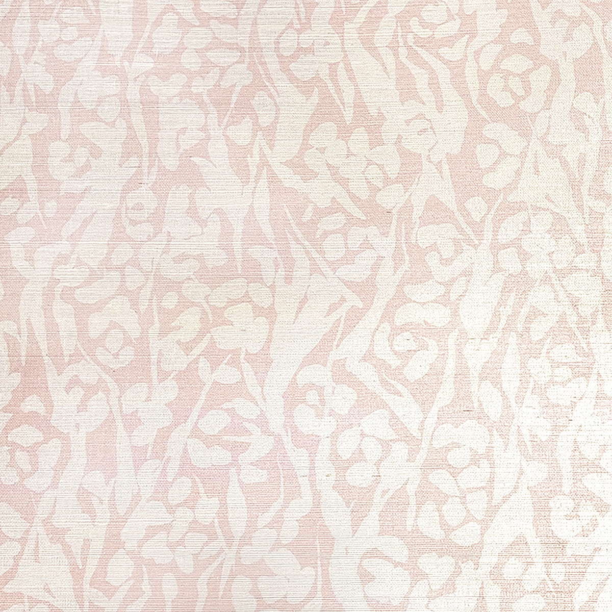 Charmed Whispering Rose