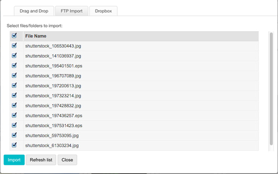FTP import window displaying a list of filenames with checkboxes