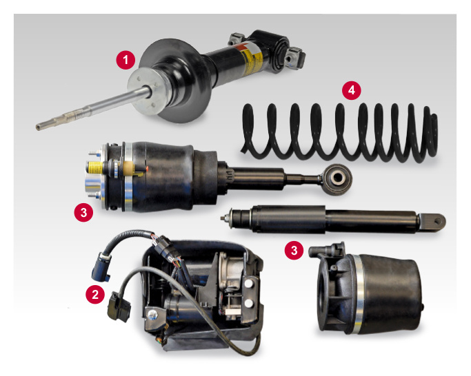 Carquest Premium Monroe OESpectrum Shocks, Struts & More