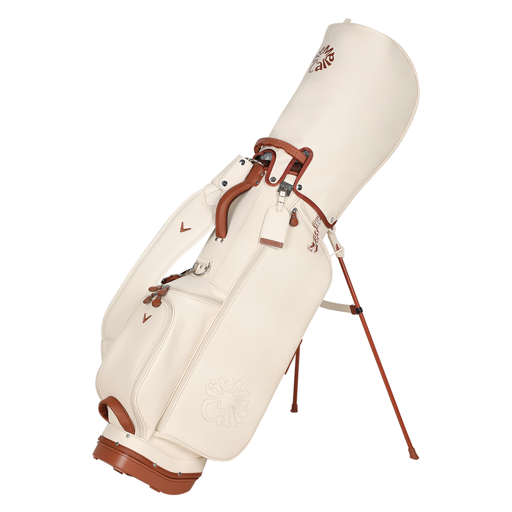 우먼스 스프링스 여성 스탠드백