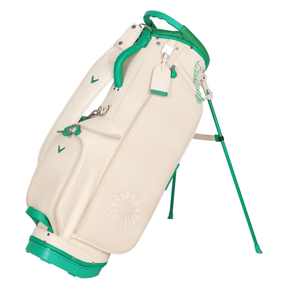 우먼스 스프링스 여성 스탠드백