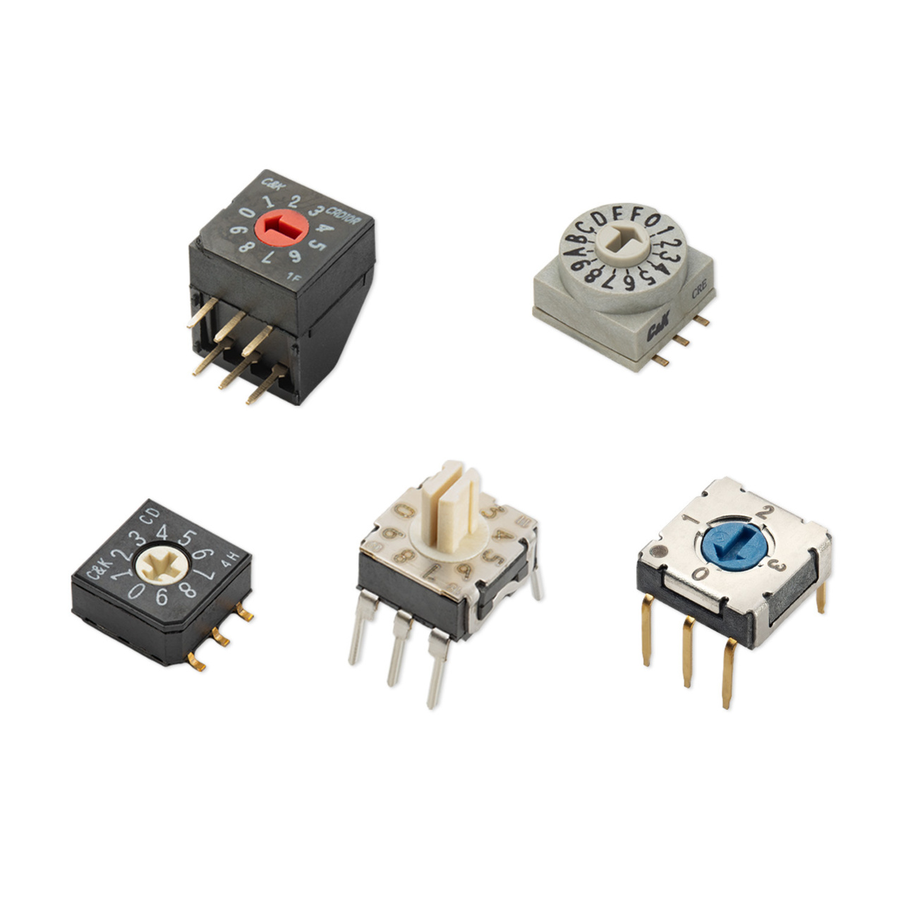 L3 Rotary DIP - Baseball Card