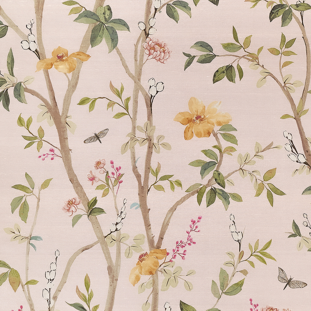 Jasmine gallery 2