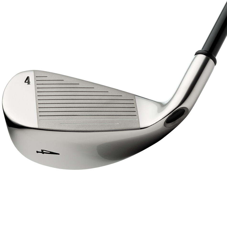 Big Bertha Irons (2008)