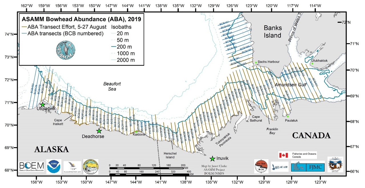 Planned transects are shown in blue; actual transect effort is shown in brown.