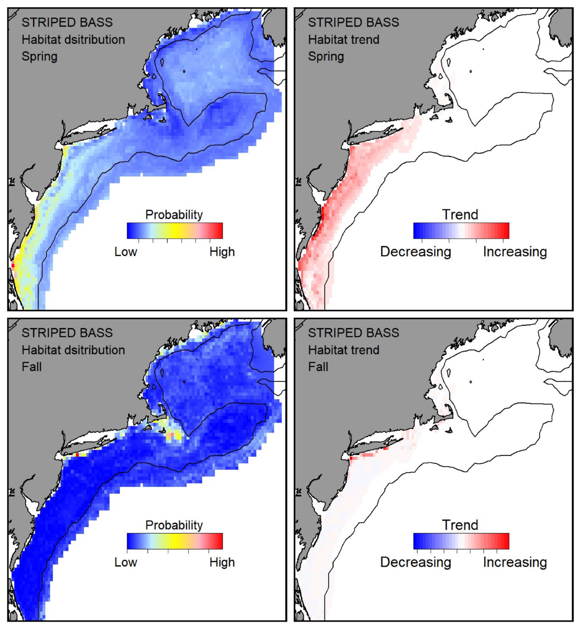 Probable habitat distribution for striped bass showing the highest concentration and increasing trend in the Gulf of Maine during the spring. Bottom row: Probable habitat distribution for striped bass showing the highest concentration and increasing trend in the Gulf of Maine during the fall.