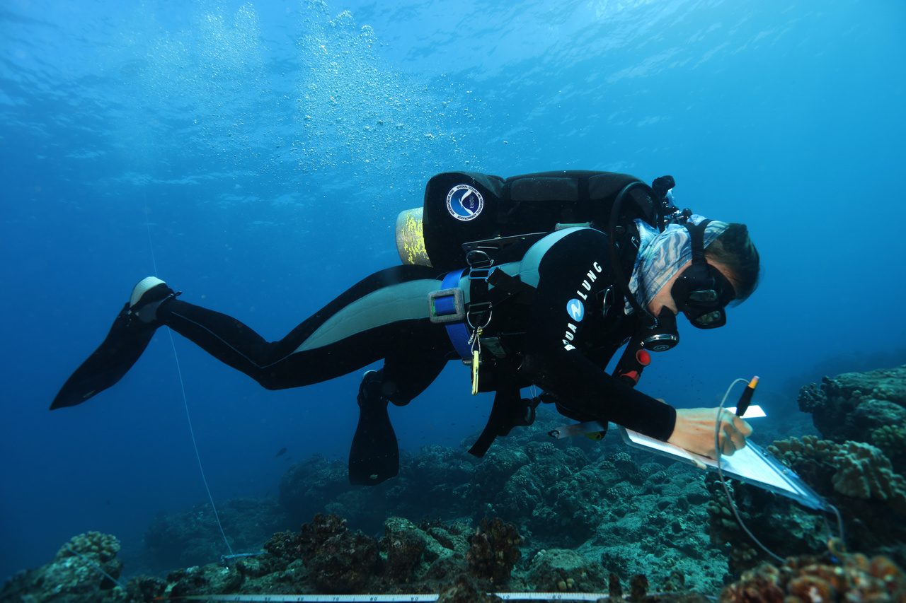 Benthic divers use underwater paper to record the size, species, and health of coral colonies. NOAA Diver Rhonda Suka demonstrates perfect bouyancy while she gets all the details down on her dive slate. <br><i>Photo: NOAA Fisheries/Raymond Boland.</i>