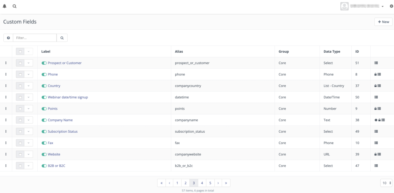 Viewing the existing custom fields