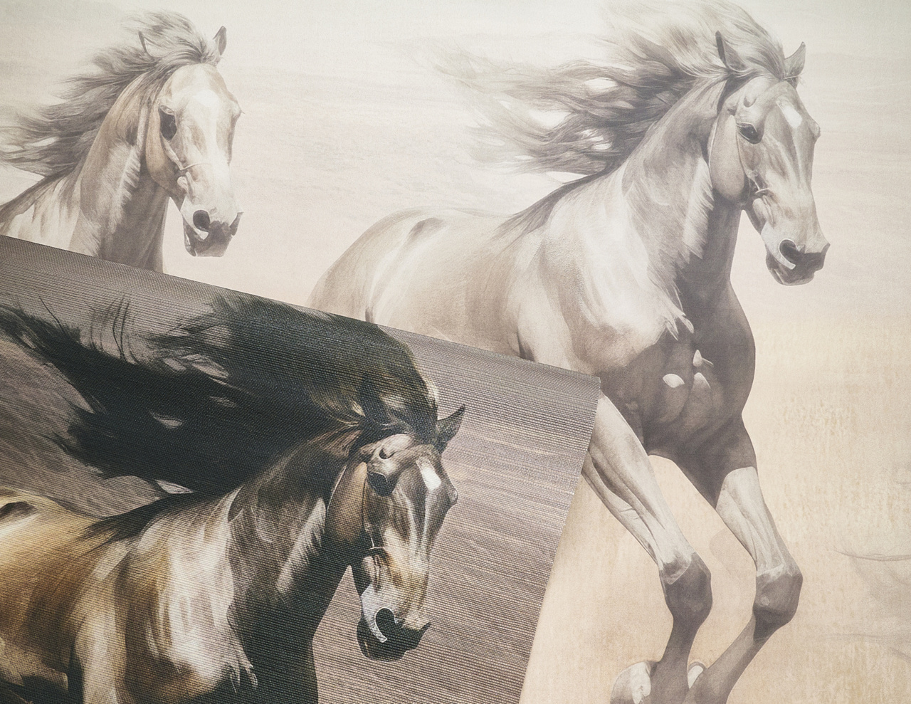 Untamed gallery 1