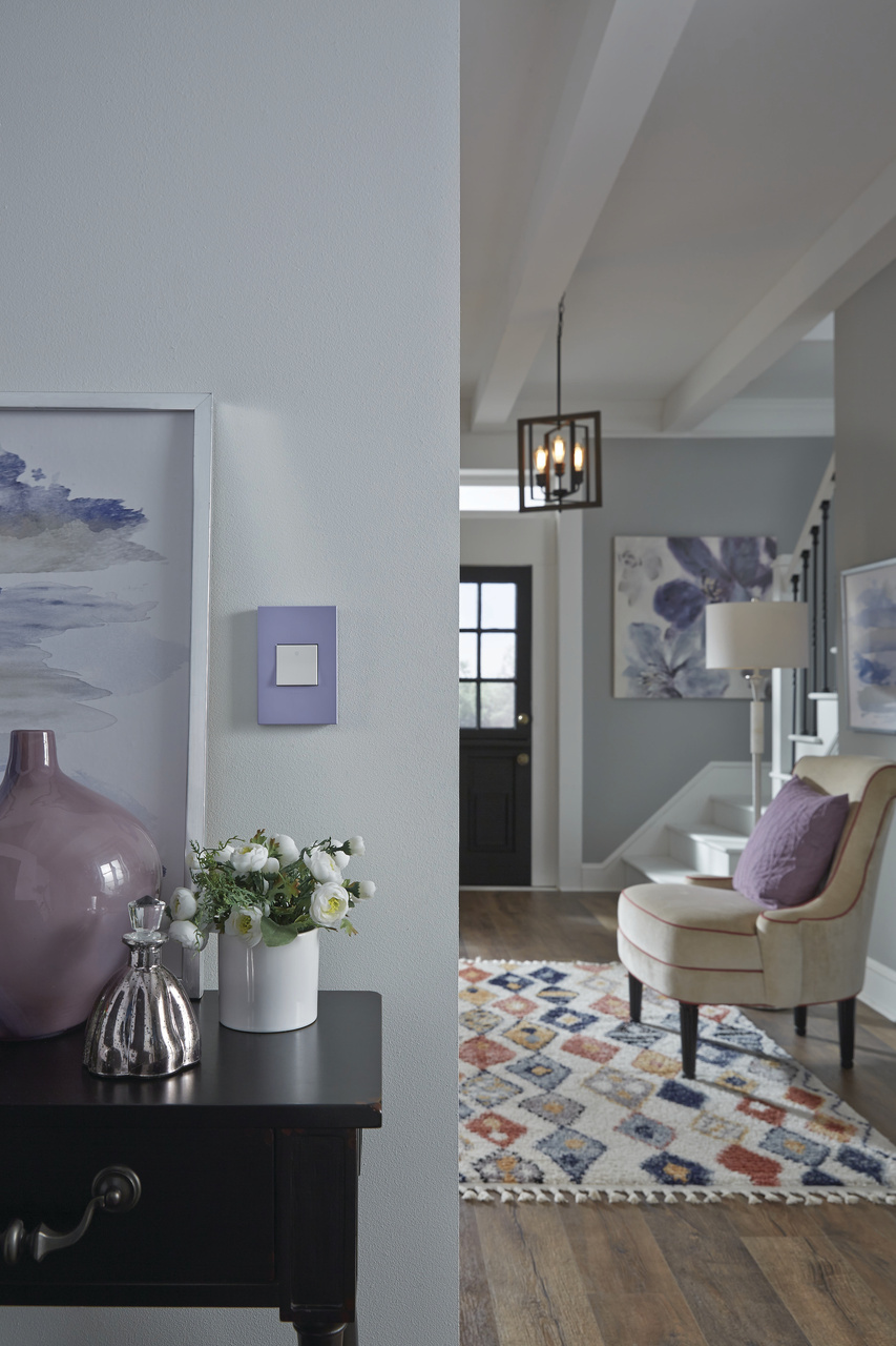 Carnical one gang screwless wall plate in living room with grey walls and dark wood floor