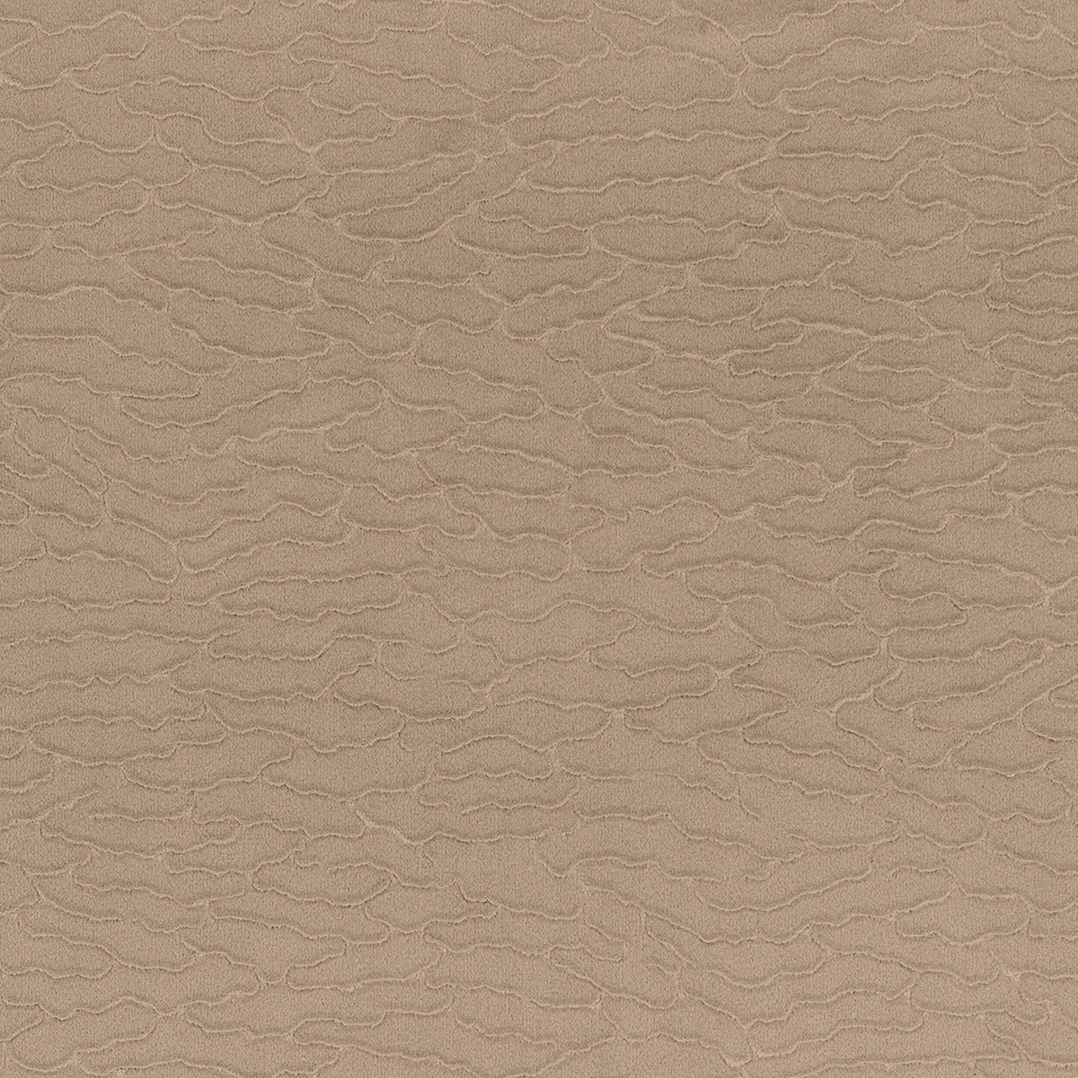 Velvet Dunes gallery 2