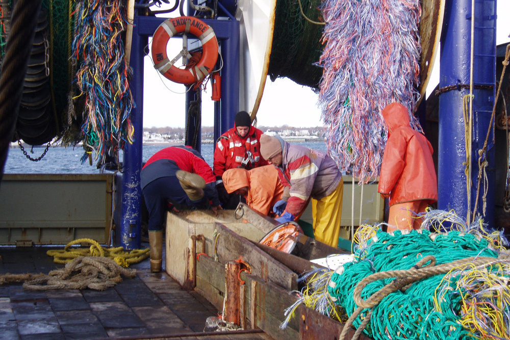 crew working with nets on fishing vessel