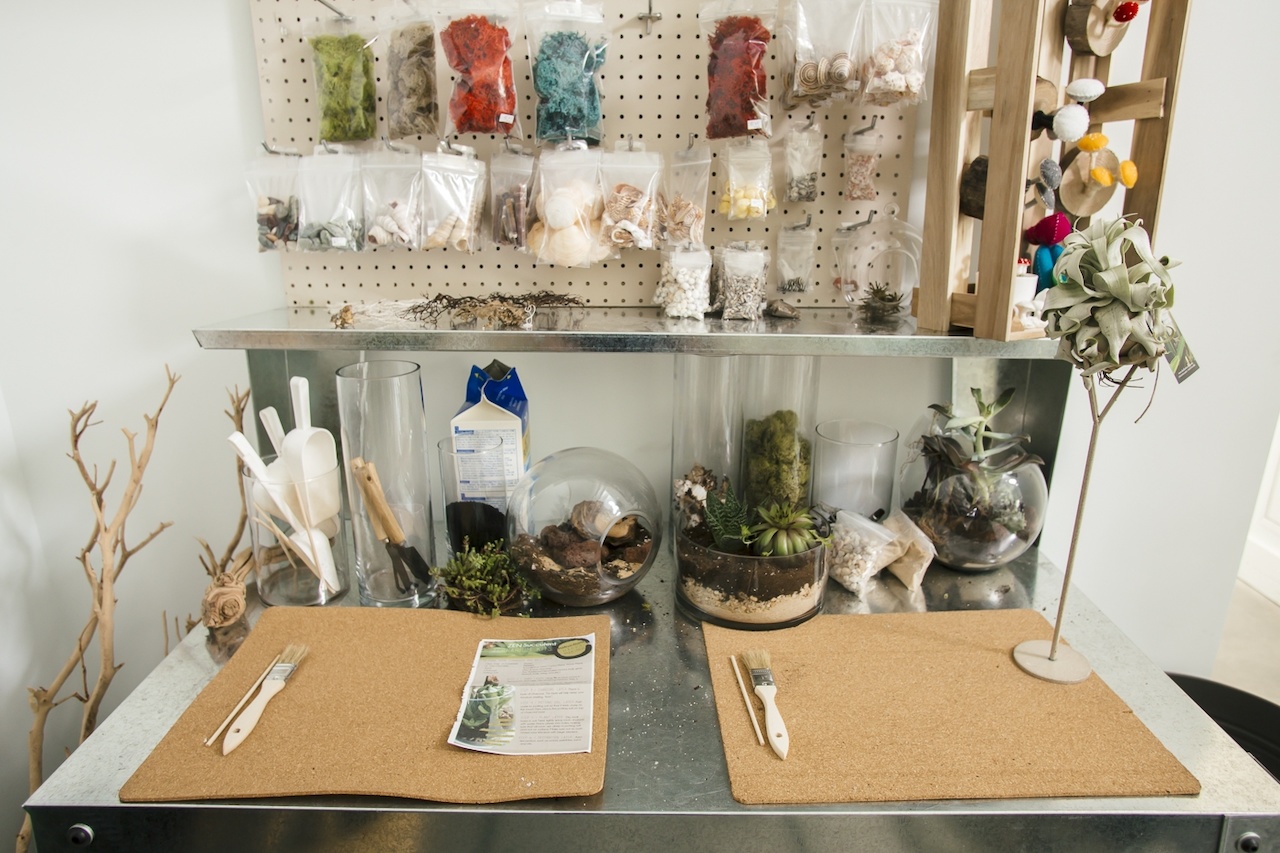 You'll find everything you need to make your very own terrarium at The ZEN Succulent. You'll find everything you need to make your very own terrarium at The ZEN Succulent.