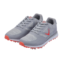 비스타 [고급 슈케이스 증정]