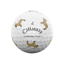 [온라인 단독] 크롬투어 트루비스 스몰독 에디션: 프렌치 브라운