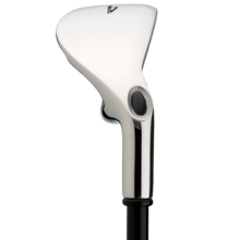 Big Bertha Irons (2008)