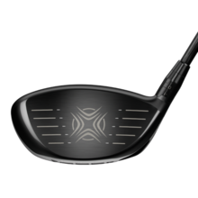 Drivers Big Bertha Alpha 816 DBD