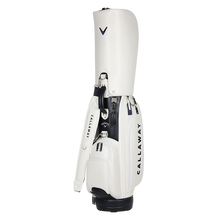 펠톤 남성 카트백