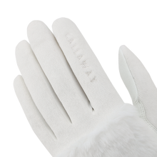 로맨틱 방한 워머 여성 양손 장갑 (2장)